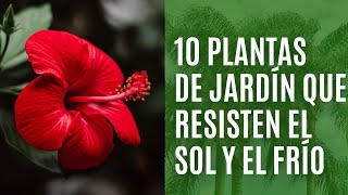 10 PLANTAS de jardín que resisten el CALOR y el FRÍO [upl. by Barnaby63]