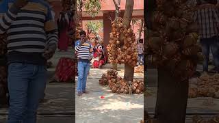 Hathi Kheda Jharkhand  Temple near Jamshedpur  Hathi Kheda Mandir  youtubeshorts shorts [upl. by Silrak445]