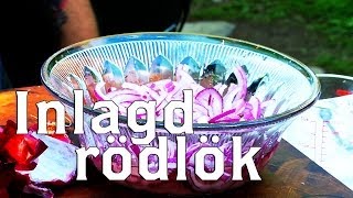 Inlagd rödlök  recept [upl. by Dorotea]