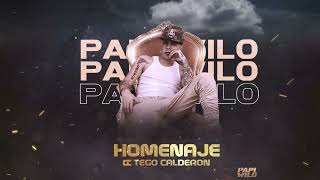 Papi Wilo  Homenaje a Tego Calderon Official Audio [upl. by Ahsekyw334]