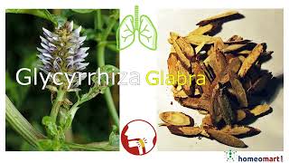 Glycyrrhiza Glabra Licorice Homeopathy Uses Benefits Dosage Side Effects shorts [upl. by Aciretehs]