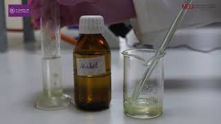 Pharmaceutics 1 lab  NonAqueous solutions Aromatic elixir [upl. by Aelrac202]