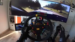 CRAZY SPEED 1 DIRT Rally 20 with Real Rally Driver  Audi S1 WRX  High End Full Motion Simracing [upl. by Barbarese509]