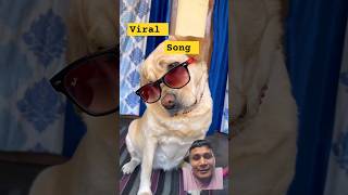 Patli kmriya viral song 🎵 funny viralshorts [upl. by Aneehsyt]