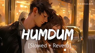 Humdum Slowed  Reverb  Vishal Mishra  Harshvardhan Rane Divya K  Savi  Anshul3zx [upl. by Solegna]