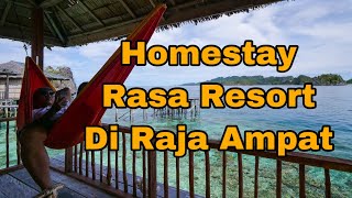 Wow Ada Homestay Begini di Misool Raja Ampat [upl. by Anasiul868]