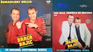 Braca Bajic  Soferska pesma  Audio 1984 [upl. by Nylirac]