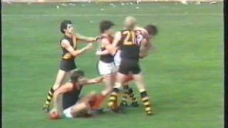 1975 Grand final Glenelg v Norwood entire match [upl. by Navarro]