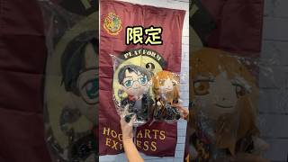 【快閃店】哈利波特2間快閃店｜Harry Potter POP UP Stores 自製學生證｜Make a student ID card 限定商品｜大扭蛋｜拍貼｜最後2日！ [upl. by Kred284]