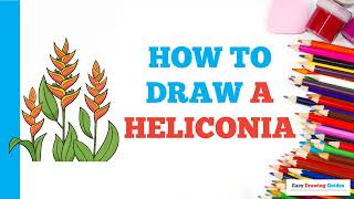 How to Draw a Heliconia Easy Step by Step Drawing Tutorial for Beginners [upl. by Dorella405]