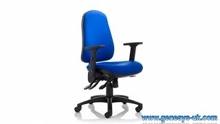 Orthopaedica Back Care Chair  Orthopaedica Back Support Chair  OC97  OC97HA  OC97FDA [upl. by Felike]