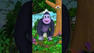 পাহাড়ি গোরিলার গান shorts savethegorilla ChuChuTV BanglaRhymes learningsongs animalshorts [upl. by Aleacin]