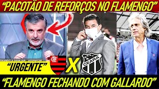 FLAMENGO FECHANDO COM GALLARDO  NOVOS REFORÇOS CHEGANDO NO MENGÃO  FLAMENGO X CEARÁ [upl. by Eeldivad626]