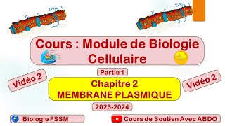 Biologie Cellulaire BCG S1  Partie de la membrane plasmique vidéo 2 [upl. by Barvick]