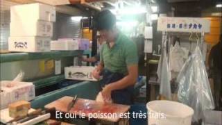 Trip Gourmand  Le marché aux poissons de Tsukiji [upl. by Atneciv]