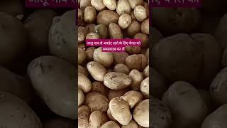 आज का आलू भाव आगरा कोल्ड  aloo potatoes shortsfeed shorts shotsviral ytshorts ytshortsvideo [upl. by Denton]