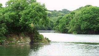 Your Shore at Helford VMCA by Cornwall Wildlife Trust [upl. by Burnett]