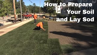 How to Prepare Your Soil and Lay Sod [upl. by Sigfrid179]