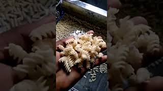 spiral pasta youtubeshorts shortsvideo shortsfeed trendingshorts macroni macroni [upl. by Allis644]