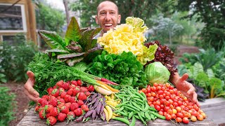 Unbelievable Backyard Garden Harvest This is What I Harvested Today [upl. by Notsew]