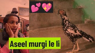 Aseel murgi kharred li 💕💖 [upl. by Alicul]