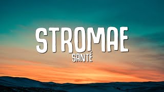 Stromae  Santé Paroles  Lyrics [upl. by Wickman346]