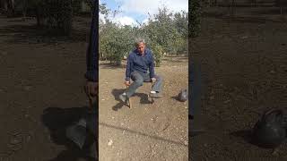 atalar duz deyib insan yawlawanda uwaqlawir shortvideo [upl. by Hgielsa]