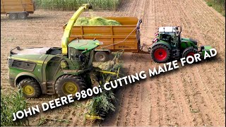 4Kᵁᴴᴰ Harvest 2024 Chopping maize with a John Deere 9800i forager amp Fendt JD JCB Richard Western [upl. by Nylirehs360]