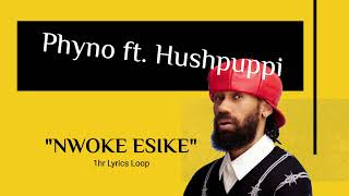 Phyno Ft Hushpuppi Nwoke Esike 1hr Loop On NoireTV phyno hushpuppi afrobeats lyrics loop [upl. by Catlee]