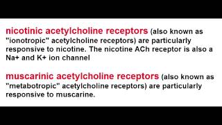 Ach Receptors  Nicotinic amp Muscarinic [upl. by Nyleikcaj]