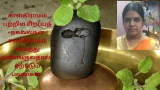 Salagrama stone pooja in tamil [upl. by Nyahs]