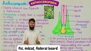 anthoceropsida class 11  life cycle of hornworts [upl. by Malik]