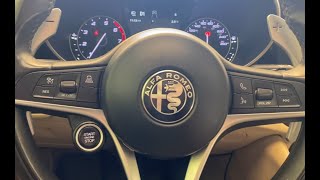 Alfa Romeo Giulia Paddle Shifter Installation [upl. by Einaej]