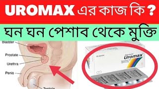 Uromax এর কাজ কি  ঘন ঘন পেশাব হওয়ার কারন কি  Uromax Details Medicine Review [upl. by Yenaffit]