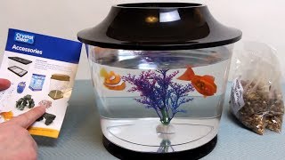 My First Fish Bowl  Detailed Review  By Pennine Pets  Crystal Clear [upl. by Kemme135]