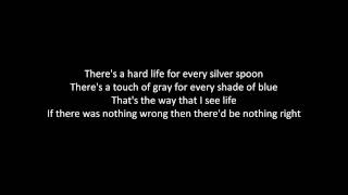 Shinedown  What A Shame With Lyrics [upl. by Itsirc]