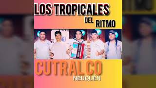 LOS TROPICALES DEL RITMO HAY AMOR [upl. by Graces]