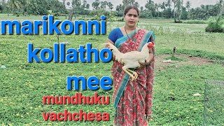 konni kollu meeku choopistha cost aentha ani comments pettakandi [upl. by Steffen868]