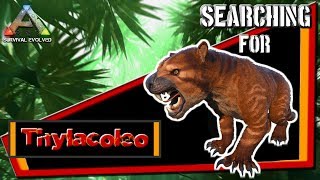 ARK Survival Evolved Searching for Thylacoleo  Normal Taming  RAGNAROK  PS4 pro [upl. by Coreen323]