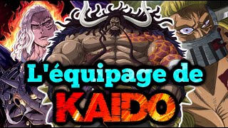 LÉQUIPAGE DE KAIDO EXPLIQUÉ  ONE PIECE [upl. by Ailil]