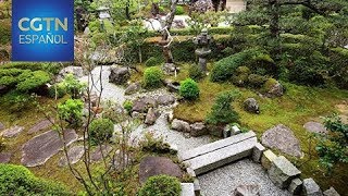 El diseño de un jardín japonés destaca la estética minimalista [upl. by Jeremias876]