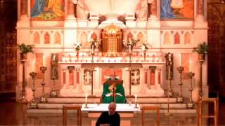 Clonard Seventh Sunday of the year 2014 Homily Fr Willie McGettrick [upl. by Servetnick]