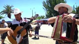 Los Halcones  Rancheras en la Calle [upl. by Cyrille]