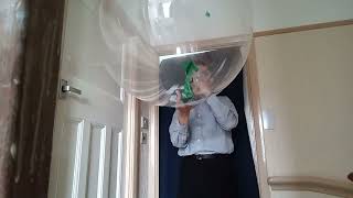 Hows about this B2P a small mouse ear balloon in a large BoBo balloon BANG [upl. by Yelroc]