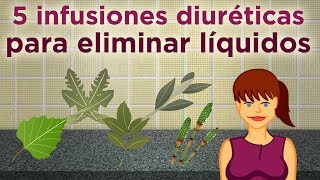 5 infusiones diuréticas para eliminar líquidos [upl. by Lynch]