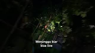 Menunggu live [upl. by Einahc112]