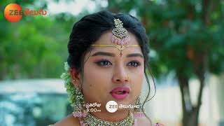 Padamati Sandhya Ragam Promo  12 Dec 2024  Everyday at 800 PM  Zee Telugu [upl. by Iveksarap763]