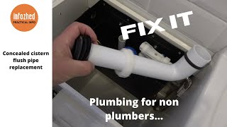 Replacing a concealed Cistern Flush Pipe [upl. by Sefton24]