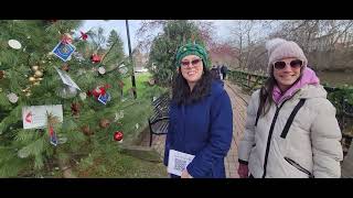 Chagrin Falls Chamber of Commerce Christmas Tree Contest  Dogwalker 112724 [upl. by Elletnuahc273]