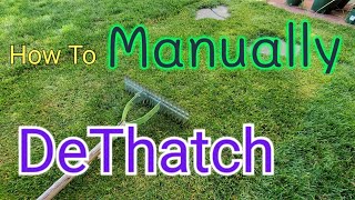 How To DeThatch A Lawn With A Thatch Rake [upl. by Fredrick]